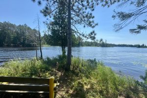 553 Reed Rd, , Three Lakes,  WI 54562 United States