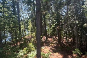 553 Reed Rd, , Three Lakes,  WI 54562 United States