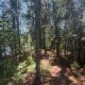 553 Reed Rd, , Three Lakes,  WI 54562 United States