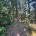 553 Reed Rd, , Three Lakes,  WI 54562 United States