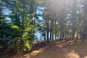 553 Reed Rd, , Three Lakes,  WI 54562 United States