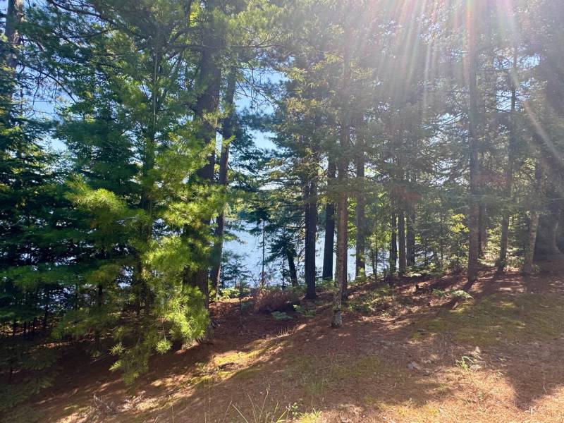 553 Reed Rd, , Three Lakes,  WI 54562 United States