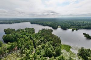 553 Reed Rd, , Three Lakes,  WI 54562 United States