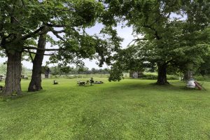 562 Hwy 8, , Monico,  WI 54501 United States