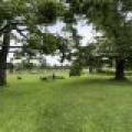 562 Hwy 8, , Monico,  WI 54501 United States