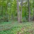 715 Hwy 45, , Eagle River,  WI 54521 United States