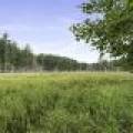 10-11 Charles Ct, , Hazelhurst,  WI 54531 United States