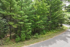288 Ridgewood Dr, , Hazelhurst,  WI