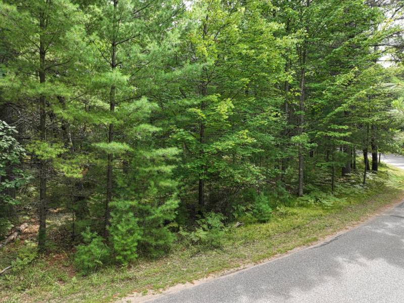 288 Ridgewood Dr, , Hazelhurst,  WI