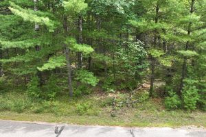 288 Ridgewood Dr, , Hazelhurst,  WI