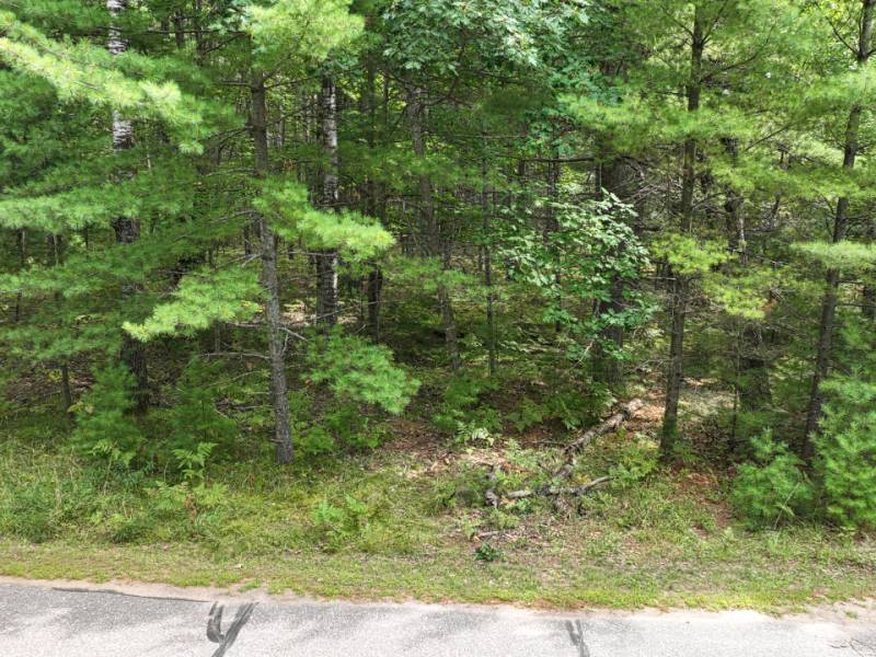 288 Ridgewood Dr, , Hazelhurst,  WI