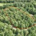 288 Ridgewood Dr, , Hazelhurst,  WI