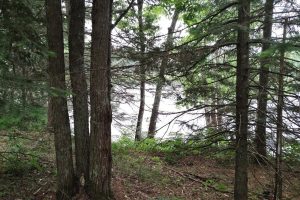4 Misty River Ln, , Crescent,  WI 54501 United States