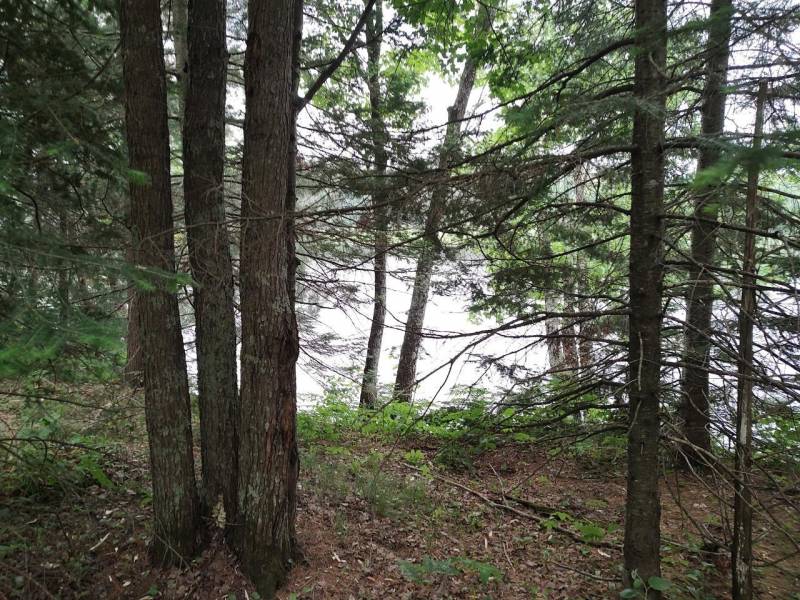 4 Misty River Ln, , Crescent,  WI 54501 United States