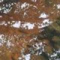 4 Misty River Ln, , Crescent,  WI 54501 United States