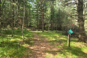 4 Misty River Ln, , Crescent,  WI 54501 United States