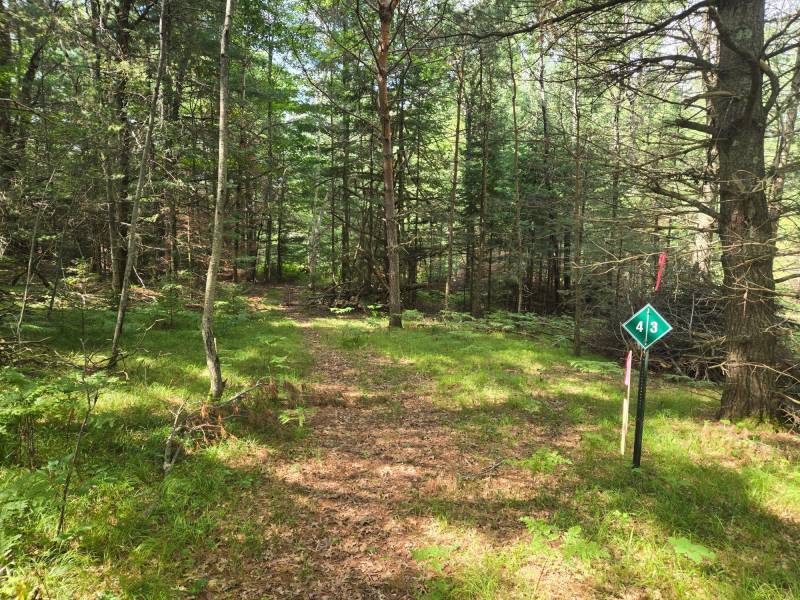 4 Misty River Ln, , Crescent,  WI 54501 United States