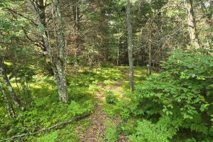 4 Misty River Ln, , Crescent,  WI 54501 United States