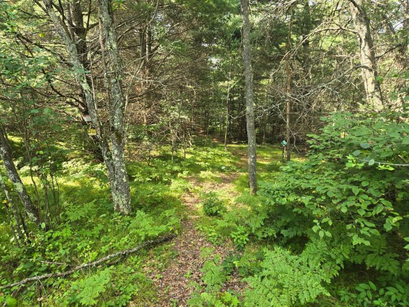 4 Misty River Ln, , Crescent,  WI 54501 United States