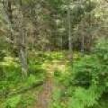 4 Misty River Ln, , Crescent,  WI 54501 United States