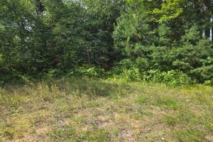 4 Misty River Ln, , Crescent,  WI 54501 United States