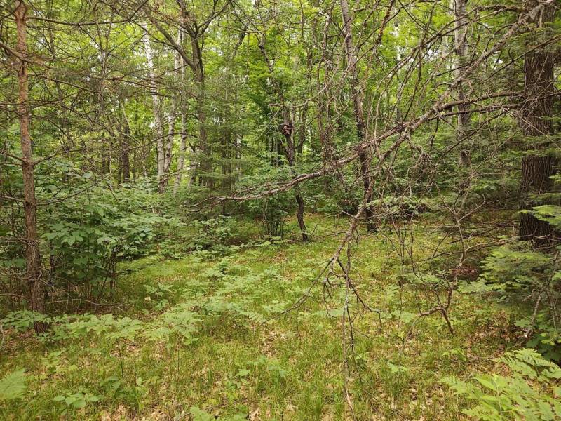 4 Misty River Ln, , Crescent,  WI 54501 United States