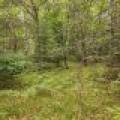 4 Misty River Ln, , Crescent,  WI 54501 United States