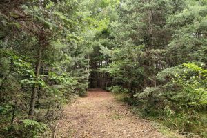 4 Misty River Ln, , Crescent,  WI 54501 United States