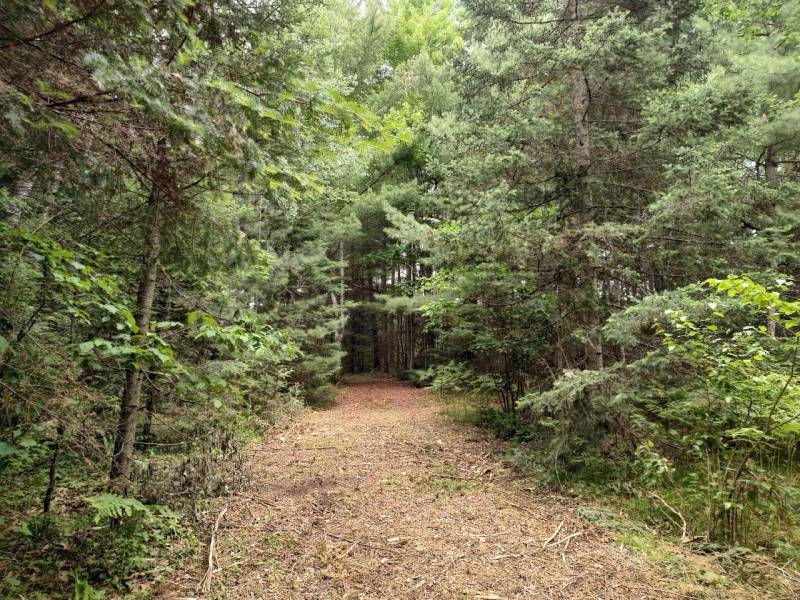 4 Misty River Ln, , Crescent,  WI 54501 United States