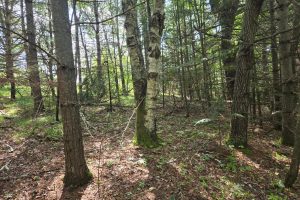 4 Misty River Ln, , Crescent,  WI 54501 United States