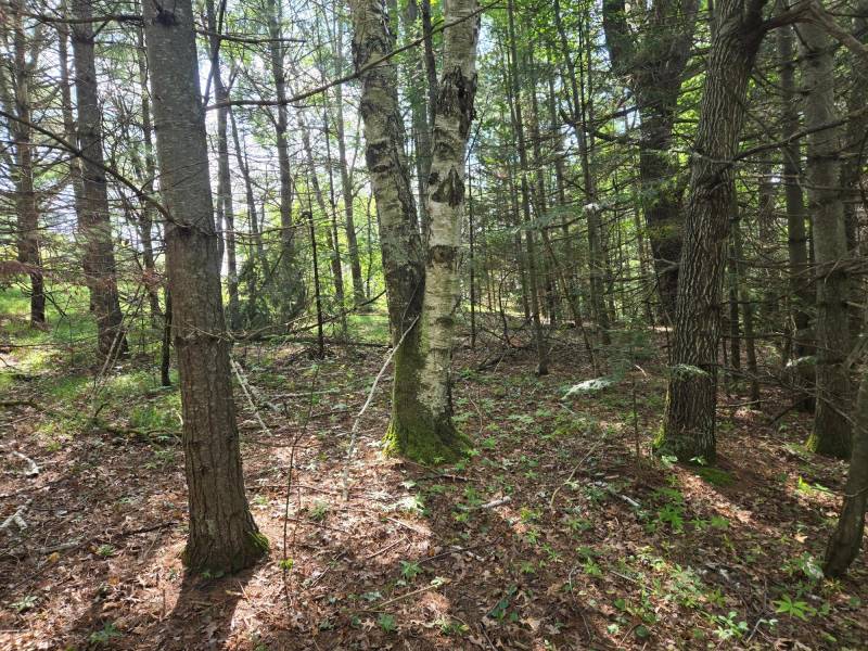 4 Misty River Ln, , Crescent,  WI 54501 United States