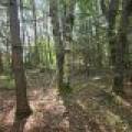 4 Misty River Ln, , Crescent,  WI 54501 United States