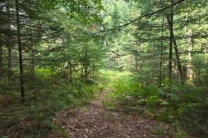 4 Misty River Ln, , Crescent,  WI 54501 United States