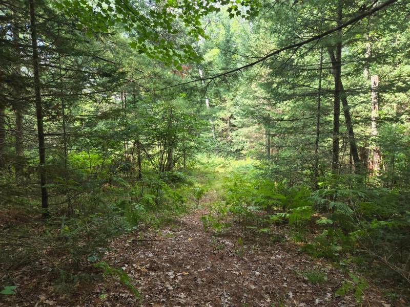 4 Misty River Ln, , Crescent,  WI 54501 United States