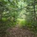 4 Misty River Ln, , Crescent,  WI 54501 United States