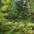 4 Misty River Ln, , Crescent,  WI 54501 United States