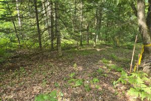 4 Misty River Ln, , Crescent,  WI 54501 United States