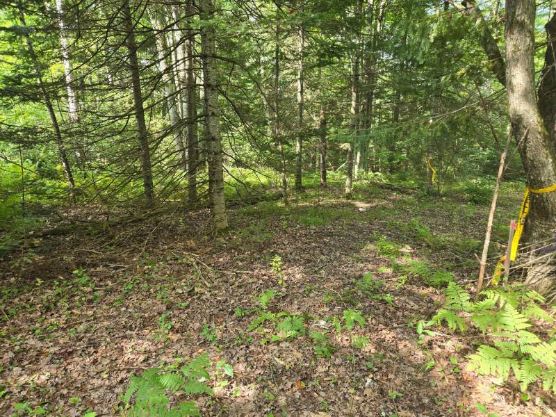 4 Misty River Ln, , Crescent,  WI 54501 United States
