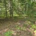 4 Misty River Ln, , Crescent,  WI 54501 United States