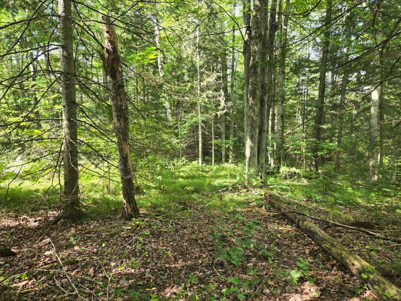4 Misty River Ln, , Crescent,  WI 54501 United States
