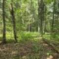 4 Misty River Ln, , Crescent,  WI 54501 United States
