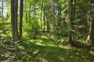 4 Misty River Ln, , Crescent,  WI 54501 United States