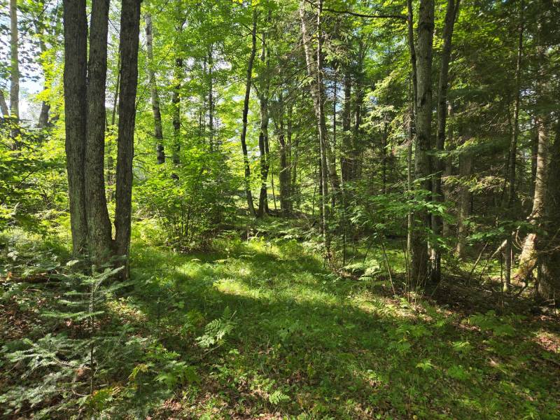 4 Misty River Ln, , Crescent,  WI 54501 United States