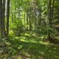 4 Misty River Ln, , Crescent,  WI 54501 United States