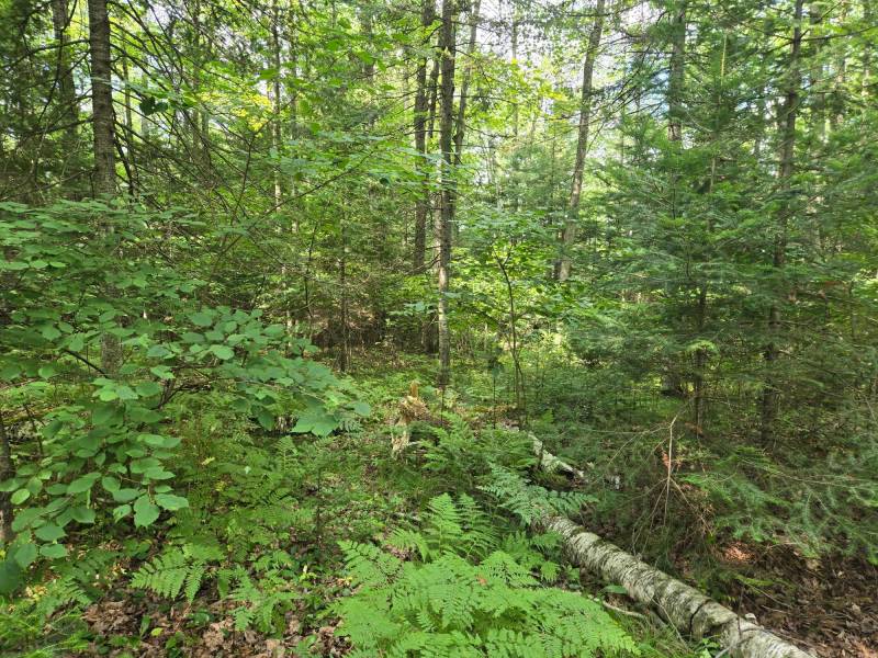 4 Misty River Ln, , Crescent,  WI 54501 United States