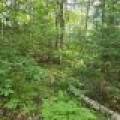 4 Misty River Ln, , Crescent,  WI 54501 United States