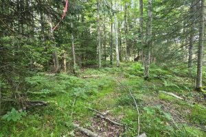 4 Misty River Ln, , Crescent,  WI 54501 United States