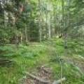 4 Misty River Ln, , Crescent,  WI 54501 United States