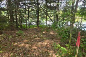 4 Misty River Ln, , Crescent,  WI 54501 United States