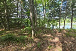 4 Misty River Ln, , Crescent,  WI 54501 United States